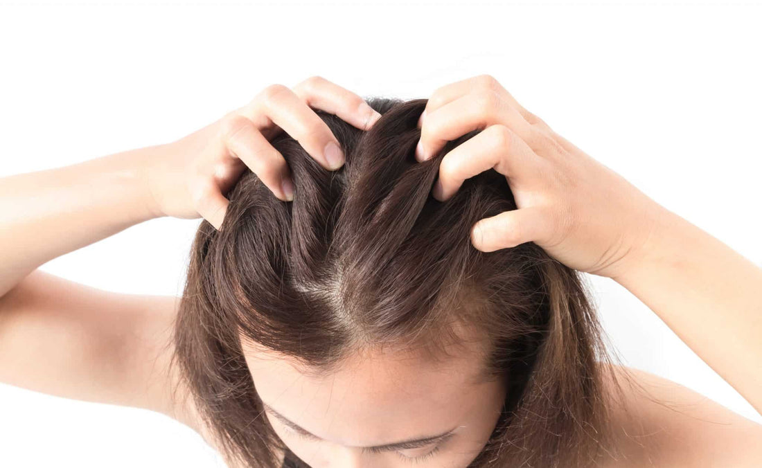 Caring For Your Dry & Sensitive Scalp: A Comprehensive Guide