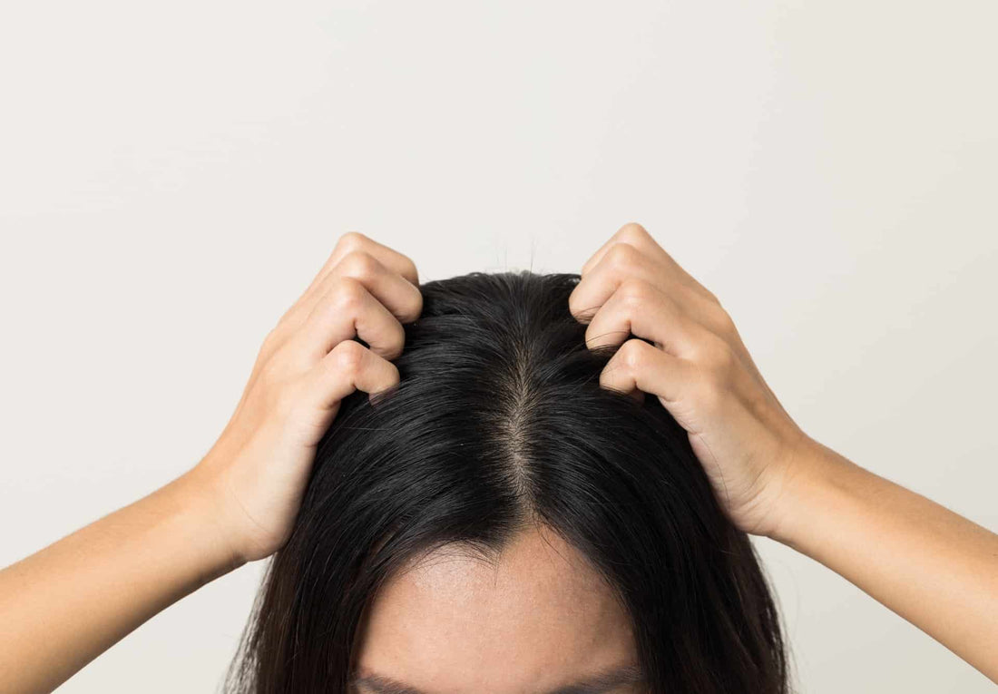 Why Common Itchy Scalp Fixes Don’t Work